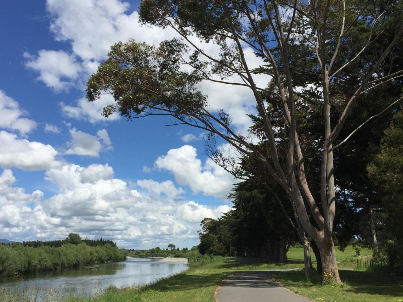 Refreshstay Palmerston North Exteriör bild